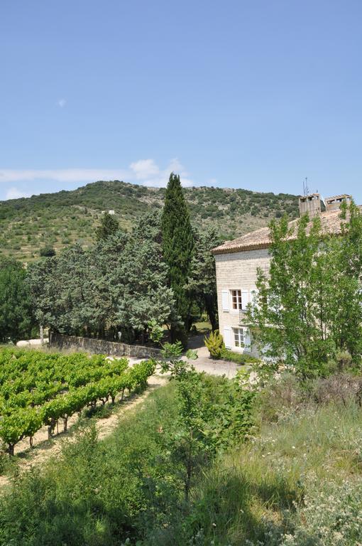 Domaine Le Bourdet Villa Saint-Sauveur-de-Cruzière Buitenkant foto